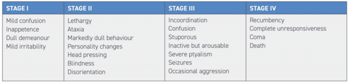 TABLE 2 Stages of hepatic encephalopathy