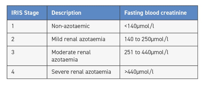 diagnosis-of-early-feline-chronic-kidney-disease-veterinary-practice